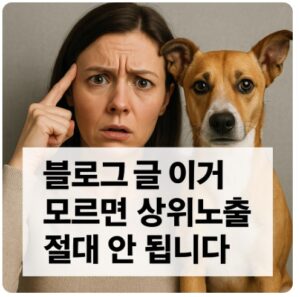 상위노출